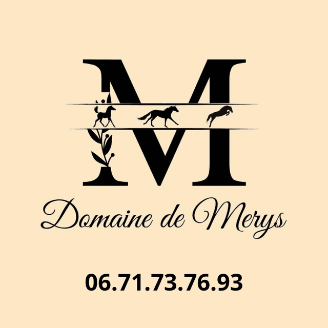 Logo Domaine de Merys